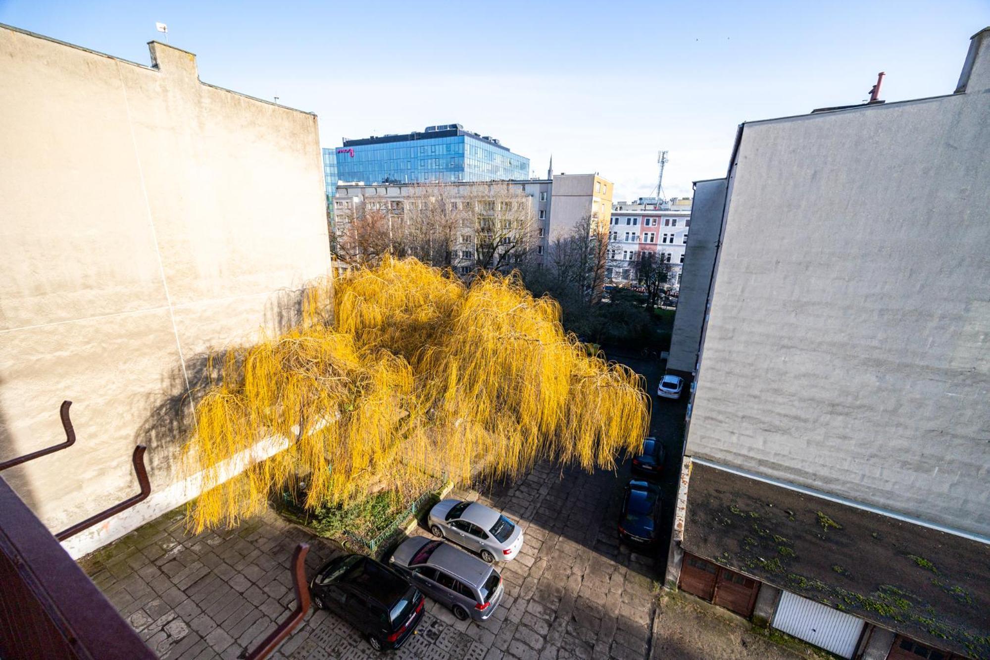 - Kobalt Brama Portowa Ii Stettin